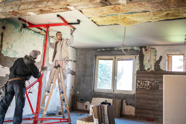 Best Commercial Insulation Contractor  in Perry, LA