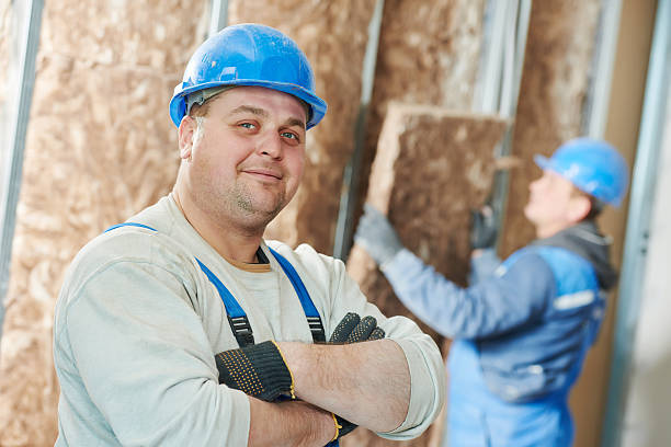 Best Local Insulation Services  in Perry, LA